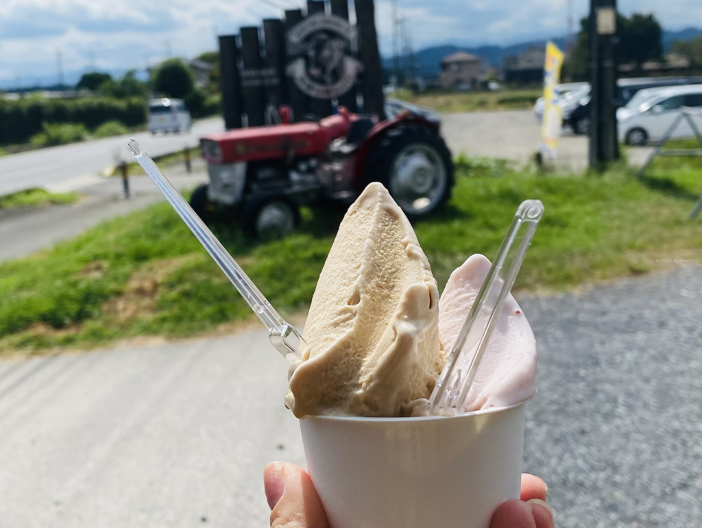 加藤牧場のジェラート♪ 濃厚な牛乳の風味があるのに、口当たりはサッパリです。